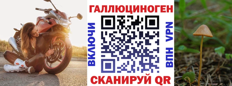 Псилоцибиновые грибы прущие грибы  наркошоп  Сухиничи 